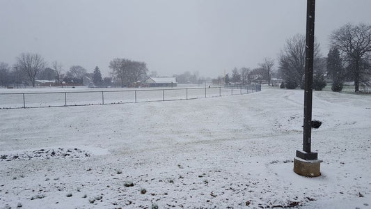 Snowy Scenes Across Pennsylvania & Delaware