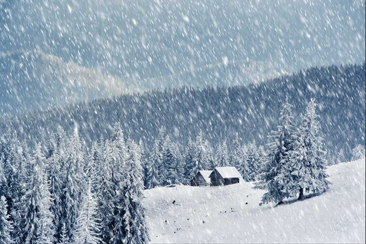 The Intricate Dance of Dendrites: Unveiling the Mysteries of Thundersnow